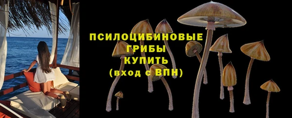 шишки Осташков