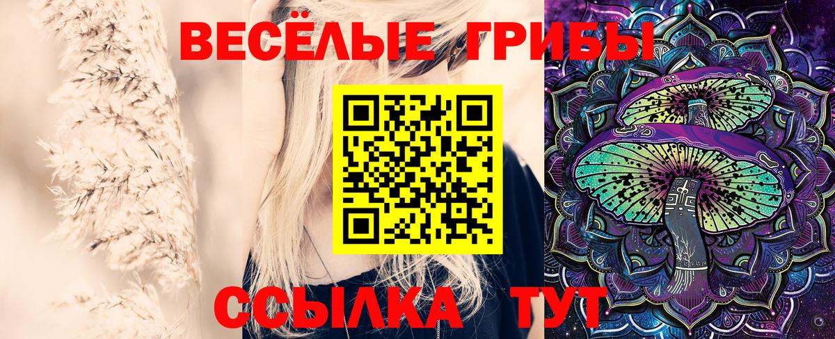 Псилоцибиновые грибы Psilocybine cubensis  Балаково 