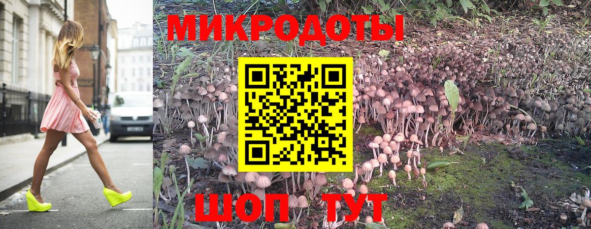 Псилоцибиновые грибы Cubensis Балаково
