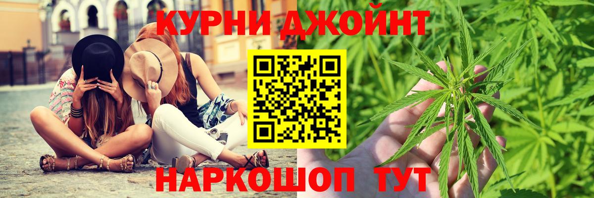 Конопля сатива Балаково